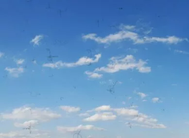 Eine Person lässt einen Drachen in einem blauen Himmel steigen.